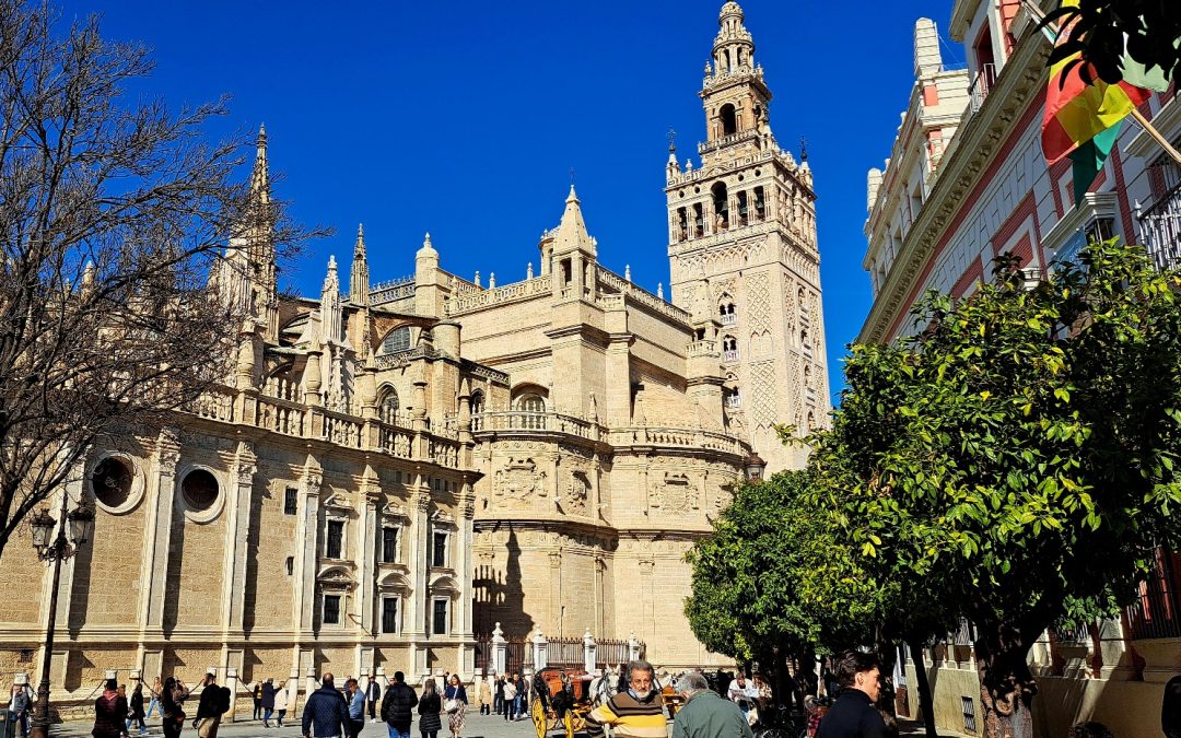 The Cathedral
