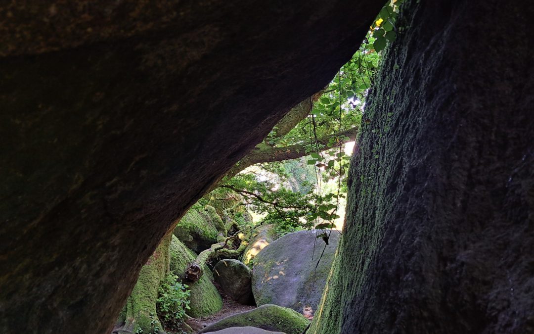 The Forest at Huelgoat