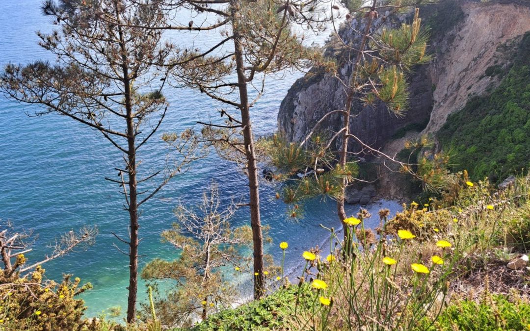 Crozon felt wild at heart